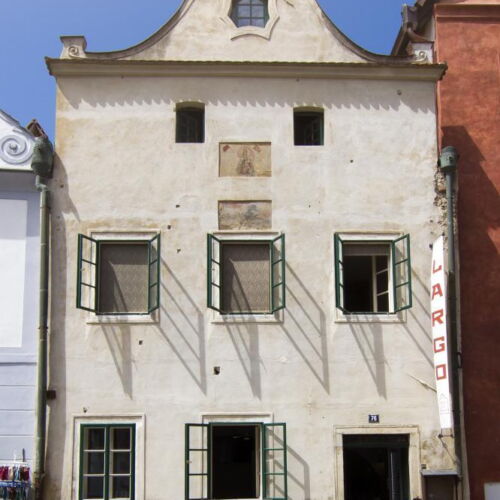 Deluxe Pokoj se sprchou pro 2 os. (s možností přistýlky)