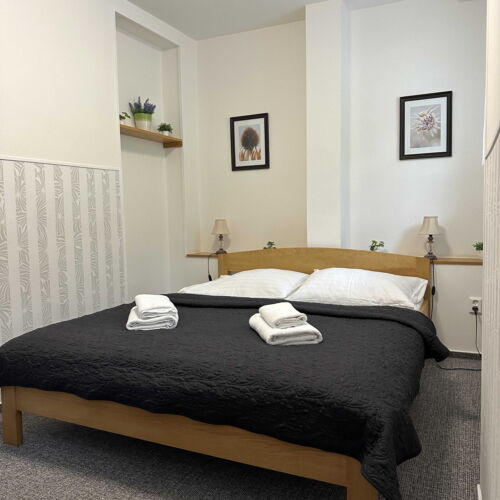 Pokoj se sprchou  s manželskou postelí