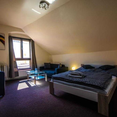 Pokoj se sprchou  pro 2 os.