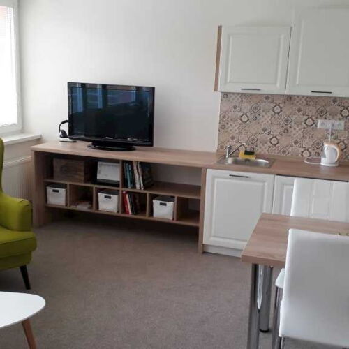 Apartman se sprchou s vlastní kuchyňkou pro 3 os. s 1 ložnicí (s možností přistýlky)