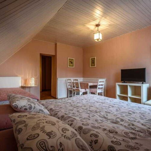 Camera tripla standard cu duș