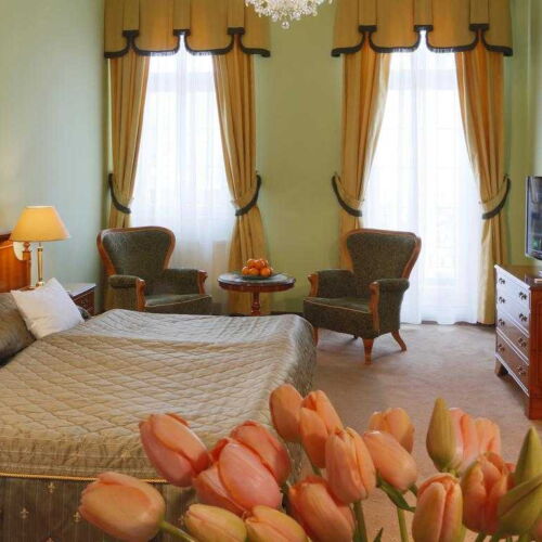 Apartament cu baie cu duș cu 1 camera pentru 2 pers. (se poate solicita pat suplimentar)