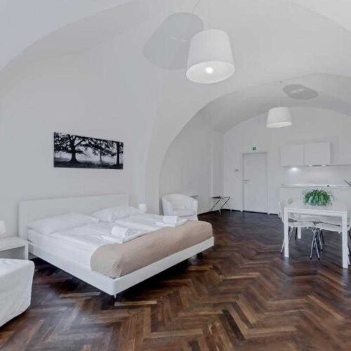 Pokoj s vlastní kuchyňkou  s manželskou postelí