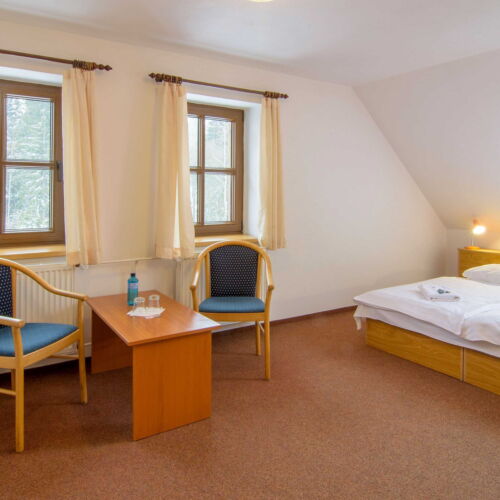 Pokoj se sprchou  s manželskou postelí