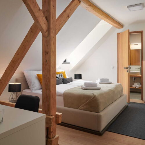 Deluxe Pokoj se sprchou pro 2 os.