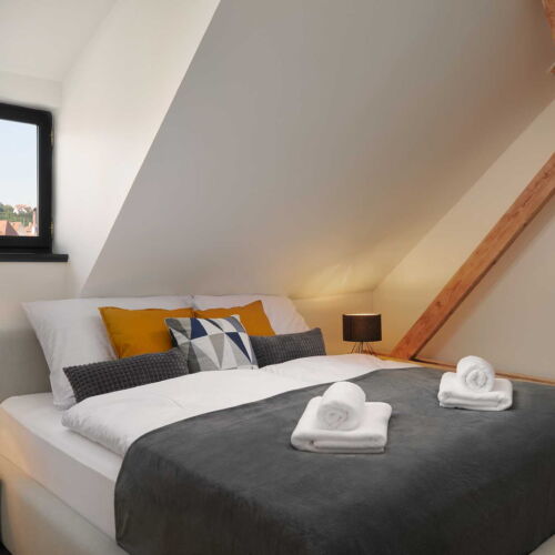 Deluxe Pokoj se sprchou pro 2 os.