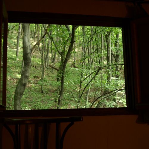 Forest View Chalet for 6 Persons