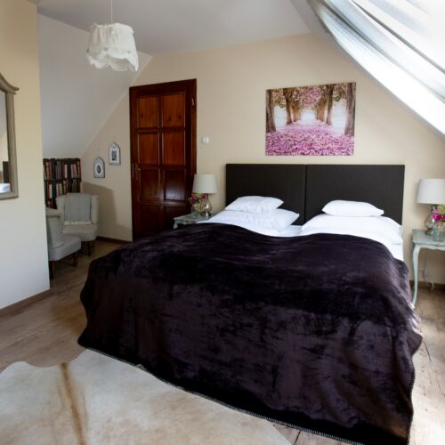 Camera twin la mansarda cu vedere spre gradina