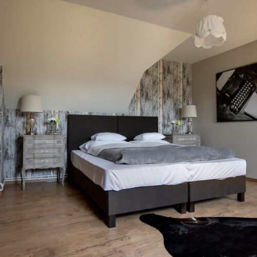 Camera twin la mansarda cu vedere spre gradina