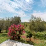 Apartmanok Parkolóhellyel Vilanija, Umag - 17240 Vilanija