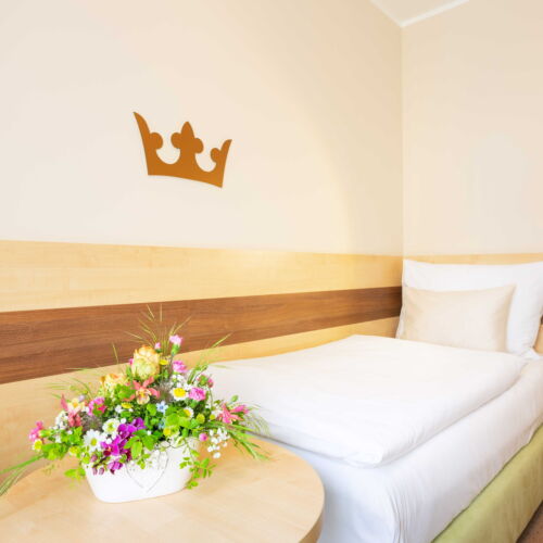 Superior Pokoj se sprchou pro 1 os.