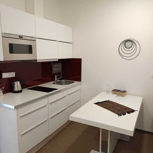 Pokój 1-osobowy z prysznicem z aneksem kuchennym