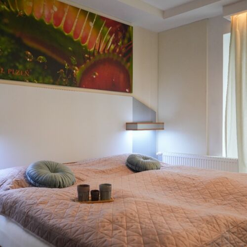 Pokój 2-osobowy Standard (możliwa dostawka)