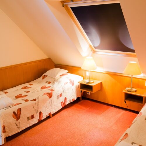 Hertelendy House - Standard Attic Twin Room