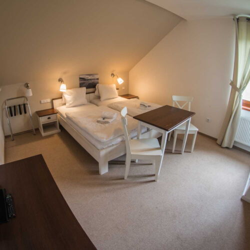 Deluxe Pokoj se sprchou s manželskou postelí (s možností přistýlky)