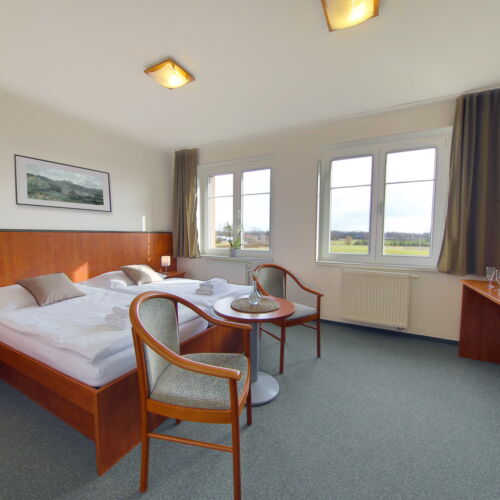 Superior Pokoj s koupelnou s manželskou postelí