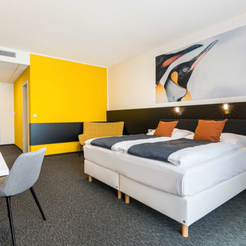 Superior Pokoj s klimatizací pro 2 os.