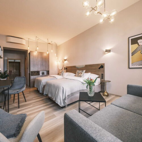 Camera twin cu duș cu chicinetă comună (se poate solicita pat suplimentar)