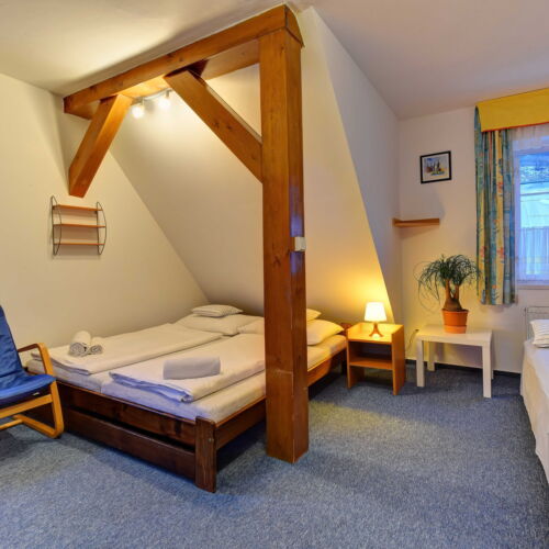 Camera dubla (se poate solicita pat suplimentar)