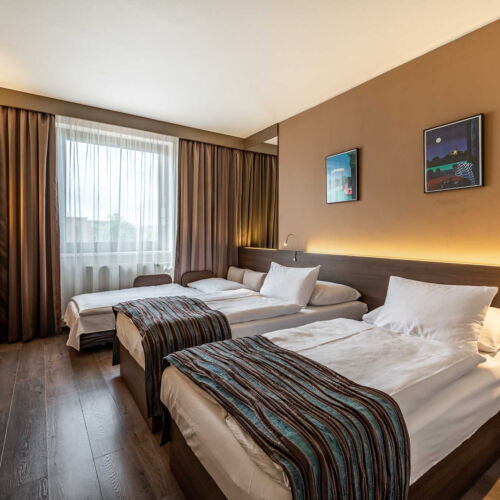 Twin Room (extra bed available)