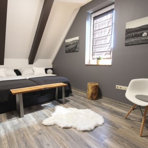 Premium Apartman (jako celek) s klimatizací pro 4 os. (s možností přistýlky)