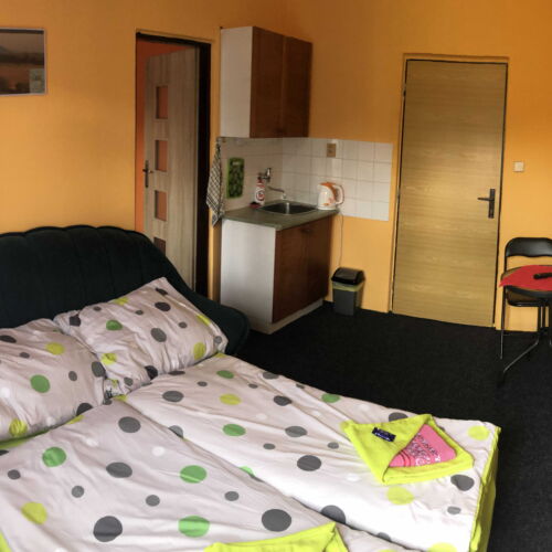 Apartament 4-osobowy z prysznicem z aneksem kuchennym (możliwa dostawka)