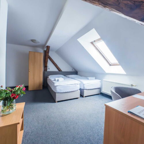 Pokoj se sprchou  pro 2 os.