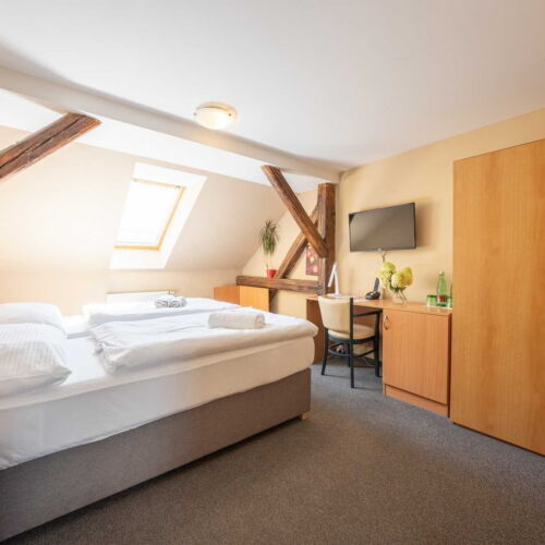 Dvoulůžkový č.3 (Národní dům)