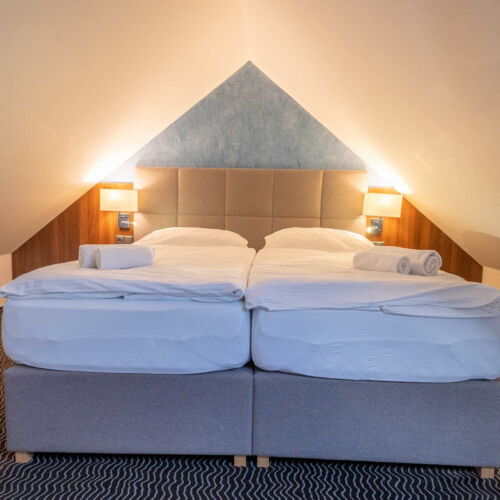 Pokoj se sprchou s vlastní kuchyňkou pro 2 os. (s možností přistýlky)