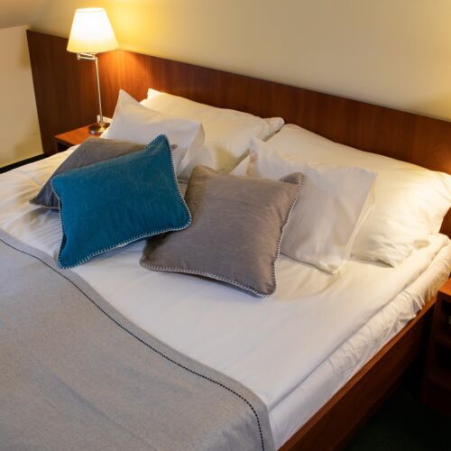 Camera dubla la parter cu vedere spre gradina