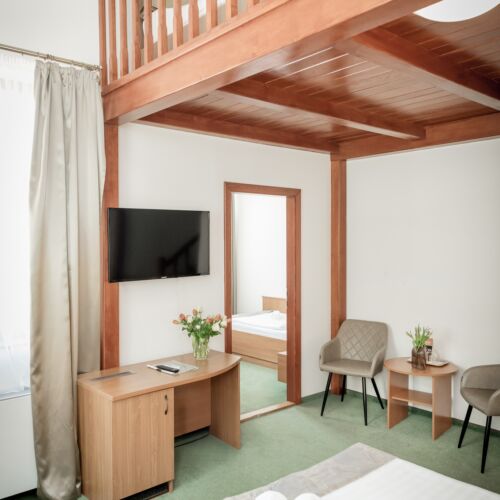 Gallery Family 5 Person Room