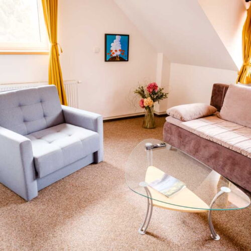 1-Room Apartment for 3 Persons with Shower and Kitchenette (extra beds available)