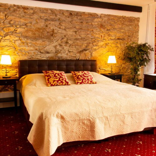 Pokój 2-osobowy z prysznicem z tarasem (możliwa dostawka)