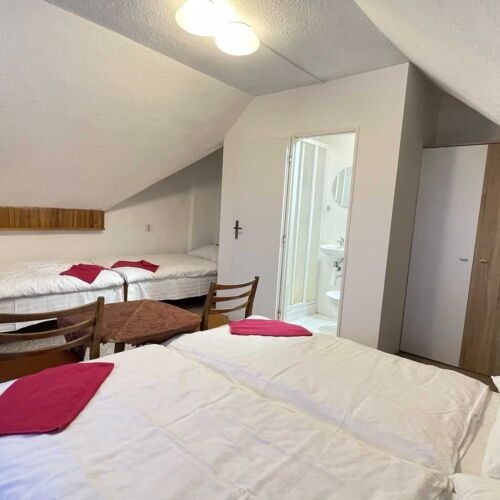 Pokoj se sprchou  pro 4 os.