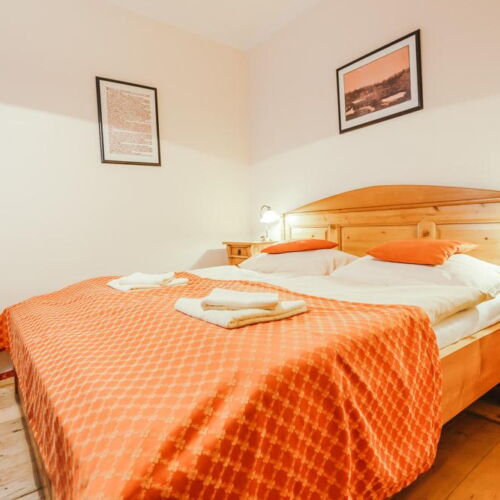 Apartament standard cu chicinetă proprie cu 1 camera pentru 2 pers.