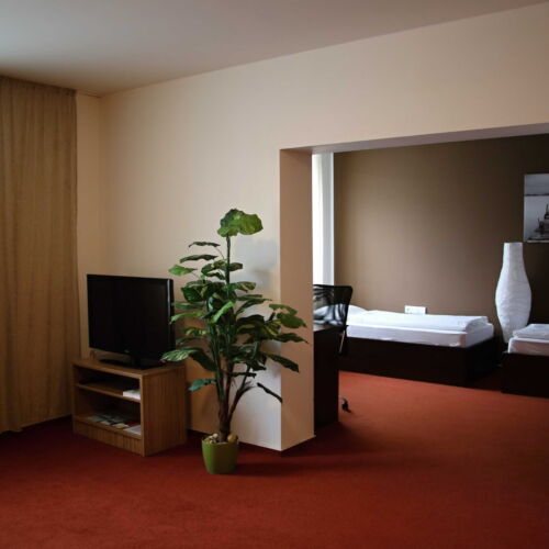 Apartman se sprchou s vlastní kuchyňkou pro 4 os. s 1 ložnicí (s možností přistýlky)