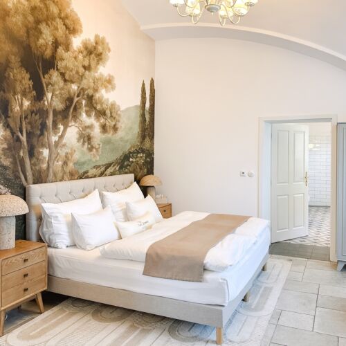 Pokoj bezbariérový s manželskou postelí s výhledem do zahrady (s možností přistýlky)