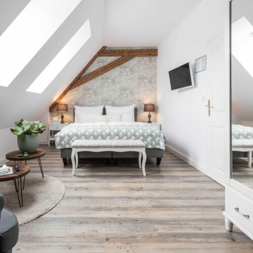 Pokoj s klimatizací se sprchou s manželskou postelí