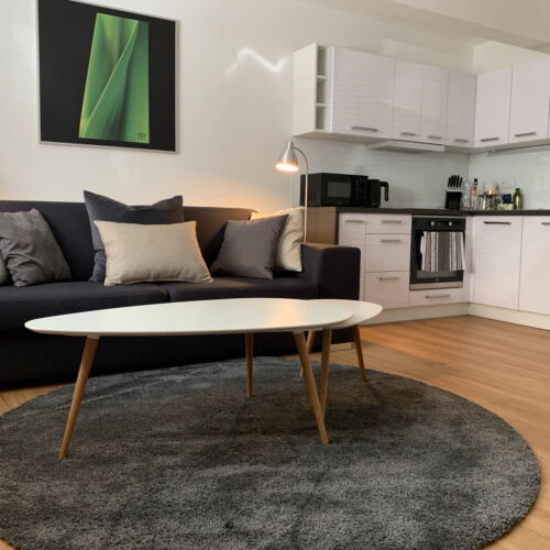 Apartament cu duș cu bucătărie proprie pentru 2 pers. (se poate solicita pat suplimentar)