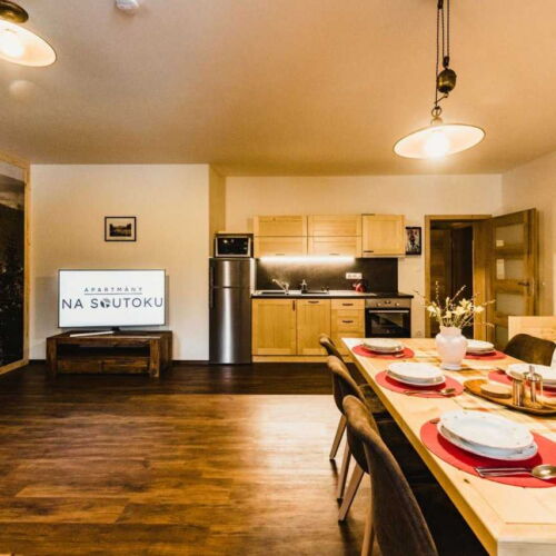 Apartman se sprchou s vlastní kuchyňkou pro 4 os. (s možností přistýlky)