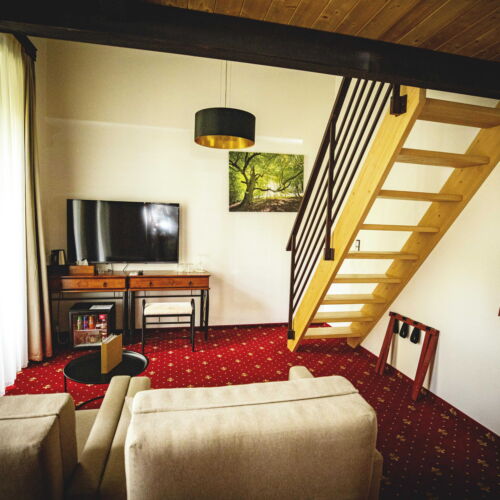 Dormitory (sdílené bydlení) -  rezervovatelné na lůžko Pokoj se sprchou   (s možností přistýlky)