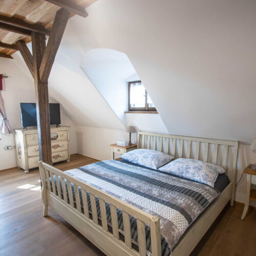 Deluxe Apartman se společnou kuchyňkou pro 2 os.