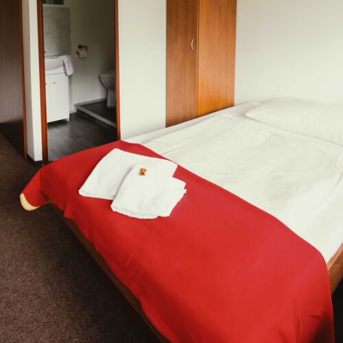 Pokoj se sprchou  pro 2 os.