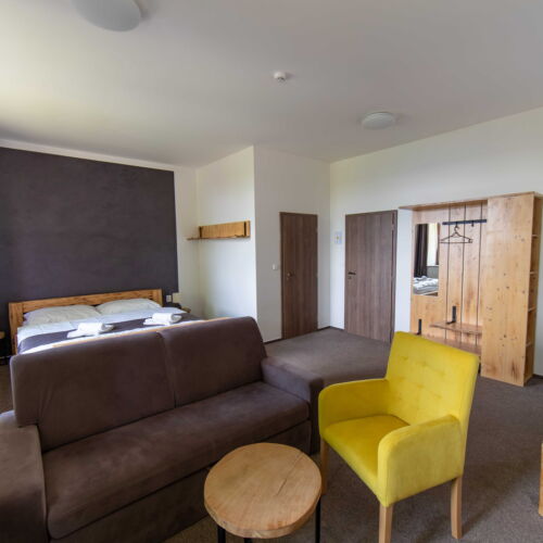 Camera tripla cu duș (se poate solicita pat suplimentar)