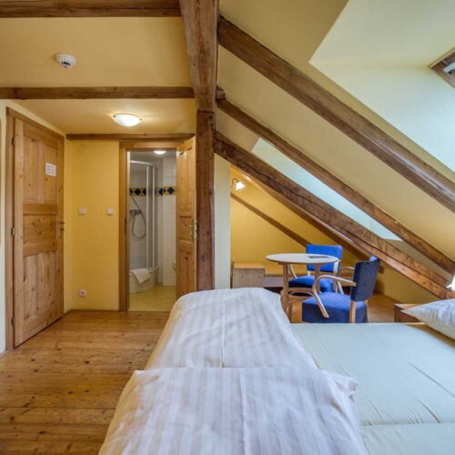 Pokój 2-osobowy Standard z prysznicem (możliwa dostawka)