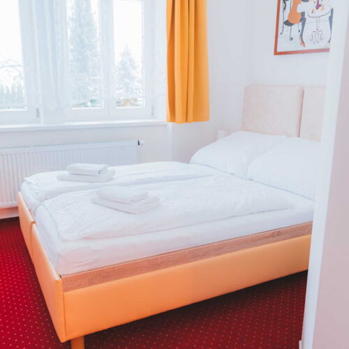 Pokoj se sprchou  pro 2 os. (s možností přistýlky)