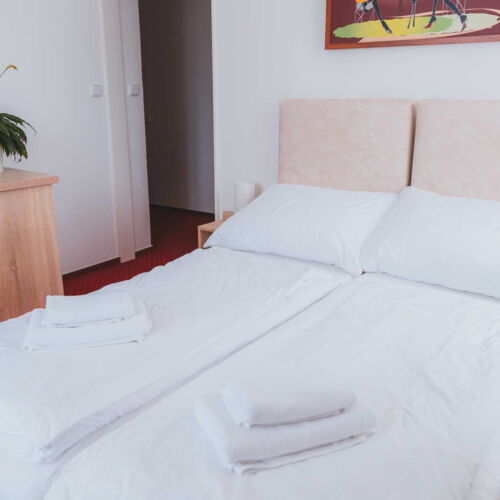 Pokoj se sprchou  pro 2 os.