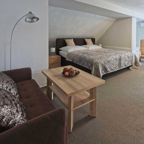 Pokój 3-osobowy z klimatyzacją z prysznicem (możliwa dostawka)