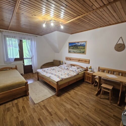 Camera dubla standard cu duș (se poate solicita pat suplimentar)