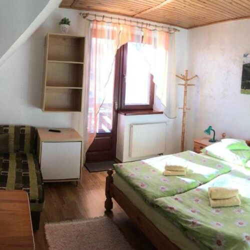 Camera dubla standard cu duș (se poate solicita pat suplimentar)